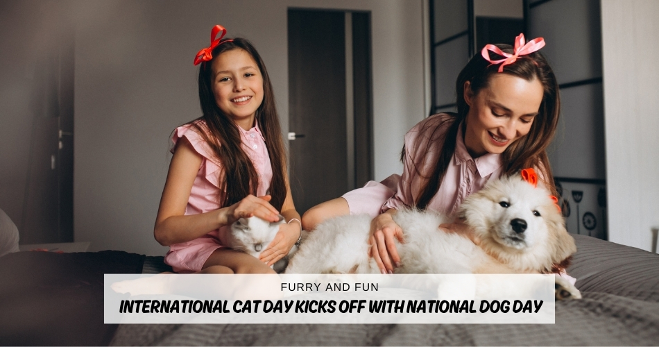 Ecards: A Purr-fect Way to Celebrate Special Days